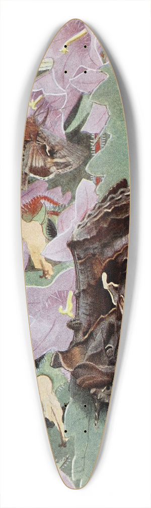 Paul-Andre Robert - La Plusie Gamma 39.3 inch art pintail longboard deck