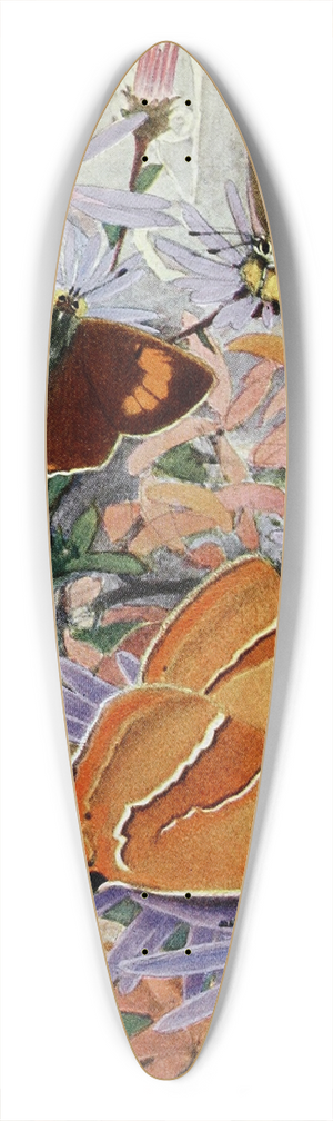 Paul-Andre Robert - La Thcla du Bouleau 39.3 inch art pintail longboard deck