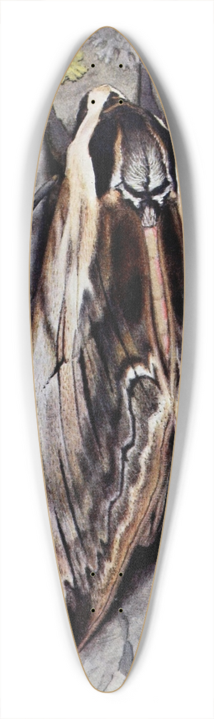 Paul-Andre Robert - Le Sphinx du Trone 39.3 inch art pintail longboard deck