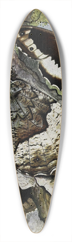 Paul-Andre Robert - Le Sylvandre 39.3 inch art pintail longboard deck