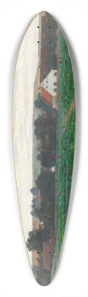 Paul Baum - Im Dachauer Moos 39.3 inch art pintail longboard deck
