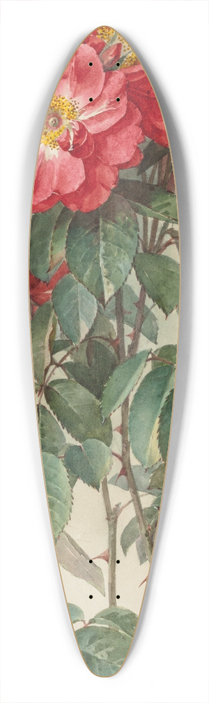 Paul de Longpre - Branches of Ragged Robin Roses 39.3 inch art pintail longboard deck Paul de Longpre - Branches of Ragged Robin Roses 39.3 inch art pintail longboard deck