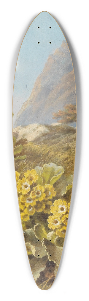 Pauline Halm-Flechner - Primula auricula, Cowslips 39.3 inch art pintail longboard deck