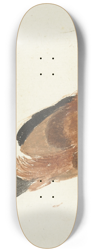 Aert Schouman - Studie van een dode haan 8.25 inch art skate deck Aert Schouman - Studie van een dode haan 8.25 inch art skate deck