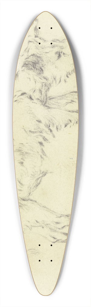 Paulus Potter - A pig to the right 39.3 inch art pintail longboard deck