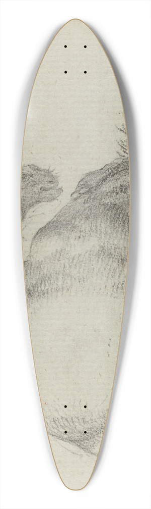 Paulus Potter - Resting Horse 39.3 inch art pintail longboard deck