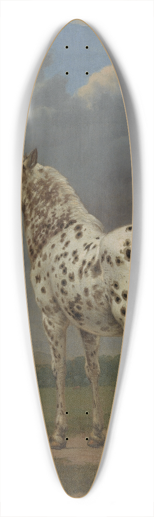 Paulus Potter - The Piebald Horse 39.3 inch art pintail longboard deck