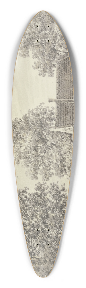 Paulus van Liender - De Gheynbrugge bei Utrecht 39.3 inch art pintail longboard deck