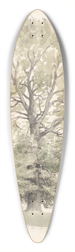 P. C. Skovgaard - Et stort bgetr med grnt lv 39.3 inch art pintail longboard deck