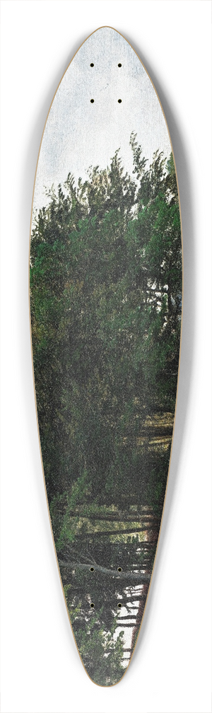 P. C. Skovgaard - Forested hills 39.3 inch art pintail longboard deck