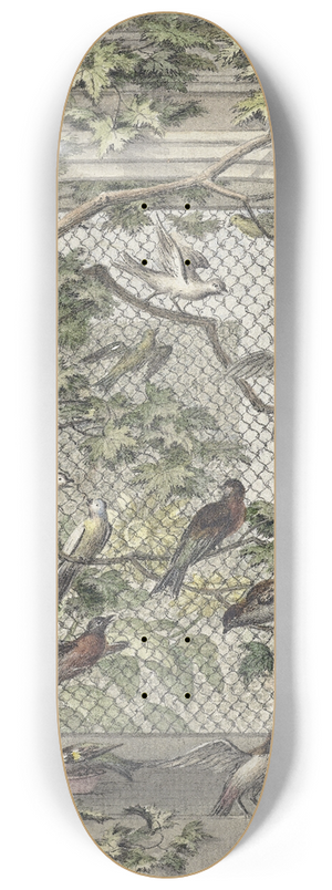 Aert Schouman - Volire met veertien vogels 8.25 inch art skate deck Aert Schouman - Volire met veertien vogels 8.25 inch art skate deck