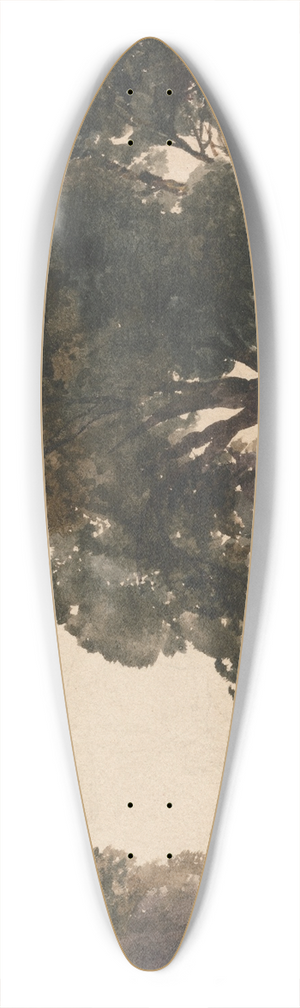 Peter DeWint - The Wagon 39.3 inch art pintail longboard deck