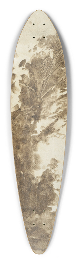 Petrus van der Velden - Fairy dell 39.3 inch art pintail longboard deck
