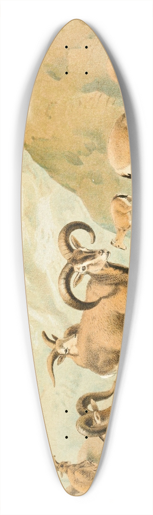 Pierre Jacques Smit - Bharal 39.3 inch art pintail longboard deck