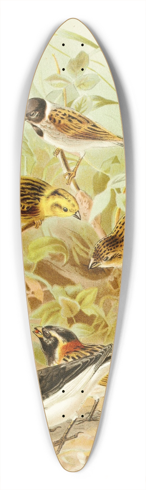 Pierre Jacques Smit - Buntings 39.3 inch art pintail longboard deck