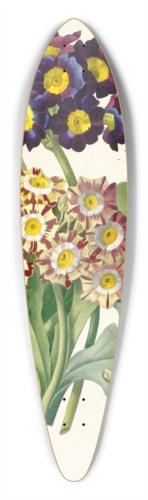 Pierre Joseph Redout - Primula auricula (Primroses) 39.3 inch art pintail longboard deck