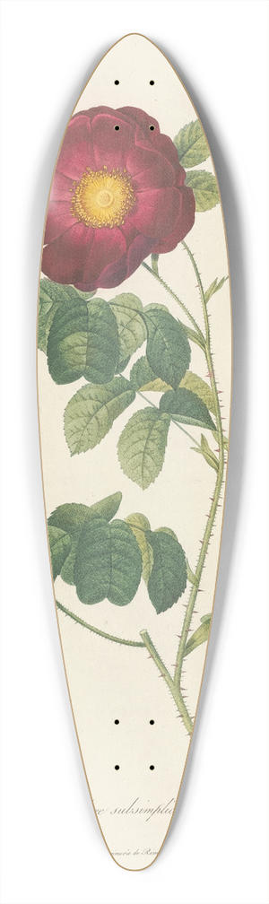 Pierre Joseph Redout - Rosa Gallica Maheka (Flore Subsimplici) 39.3 inch art pintail longboard deck