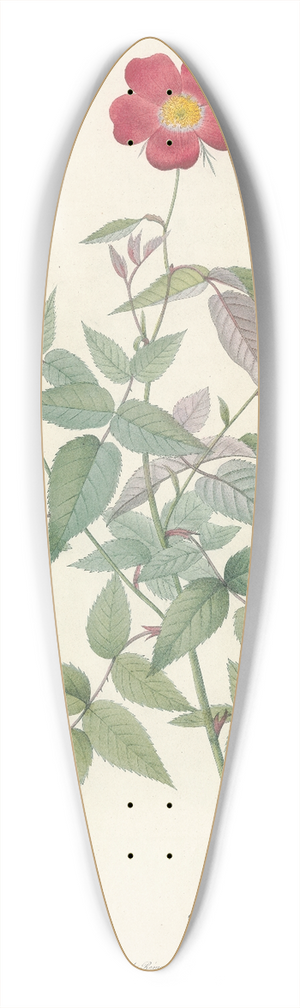Pierre Joseph Redout - Rosa Indica 39.3 inch art pintail longboard deck