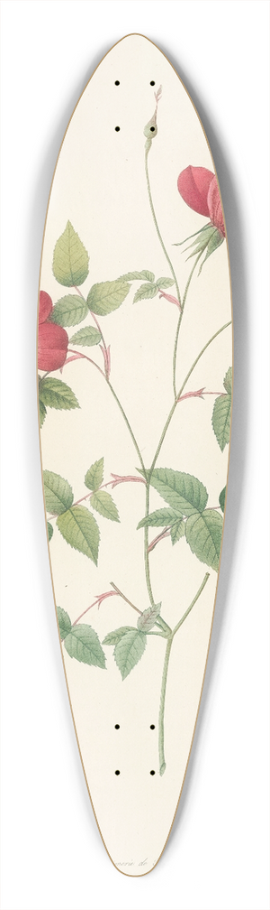 Pierre Joseph Redout - Rosa Indica Stelligera 39.3 inch art pintail longboard deck