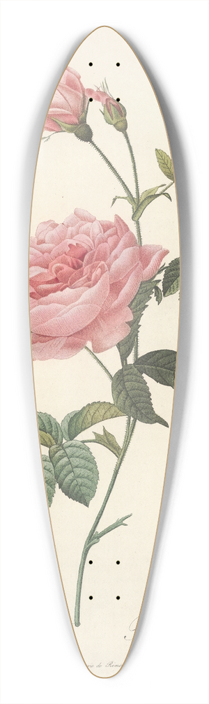 Pierre Joseph Redout - Rosa Inermis 39.3 inch art pintail longboard deck