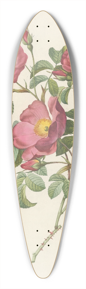 Pierre Joseph Redout - Rosa Pumila 39.3 inch art pintail longboard deck