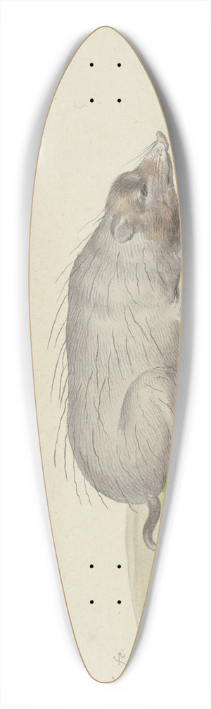 Pieter Holsteijn - Mole to the right 39.3 inch art pintail longboard deck