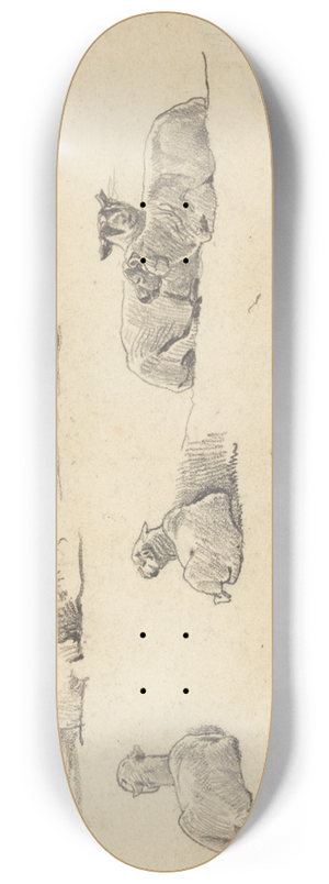 Cornelius Varley - Study of Sheep 8.25 inch art skate deck