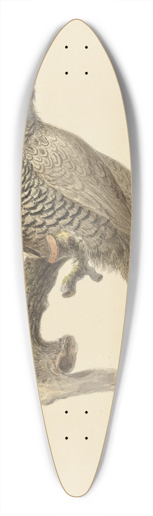 Pieter Pietersz. Barbiers - Jachtfazant 39.3 inch art pintail longboard deck