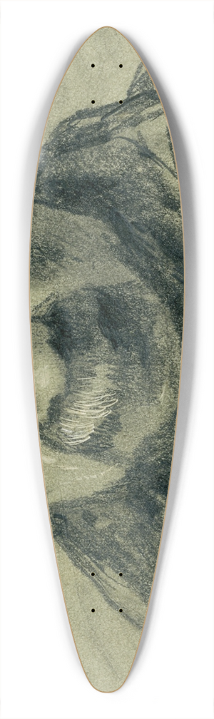 Pieter van Loon - Type, man met snor 39.3 inch art pintail longboard deck