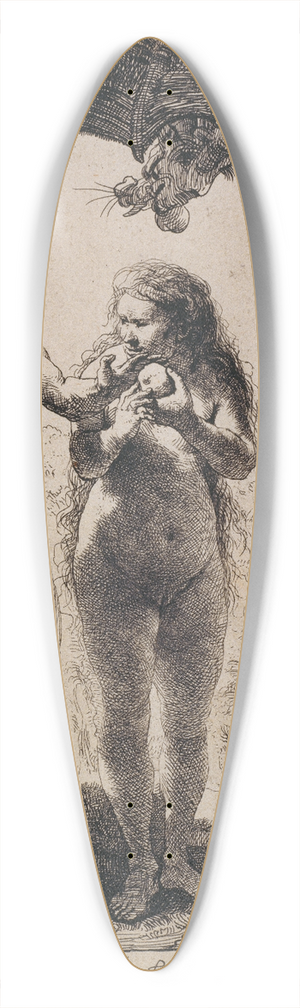 Rembrandt van Rijn - Alma 39.3 inch art pintail longboard deck