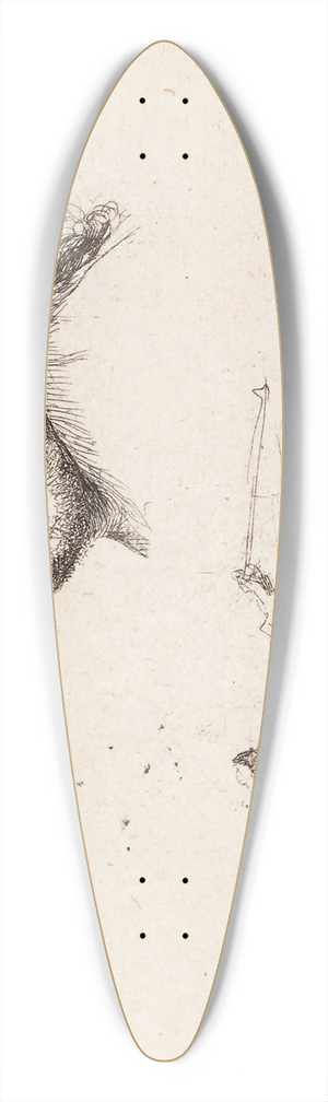 Rembrandt van Rijn - Self Portrait 39.3 inch art pintail longboard deck