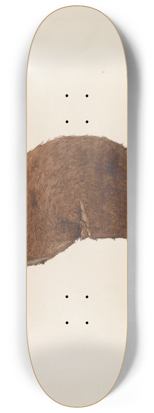 Dana Bartlett - Sealskin Cap 8.25 inch art skate deck