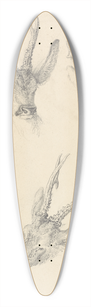 Robert Hills - A Stags Head; three studies 39.3 inch art pintail longboard deck