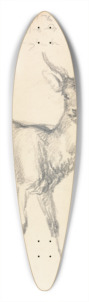 Robert Hills - A Young Deer 39.3 inch art pintail longboard deck