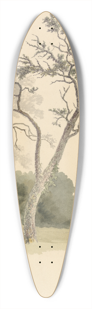 Robert Hills - Orchard Trees at Under River near Knole 39.3 inch art pintail longboard deck