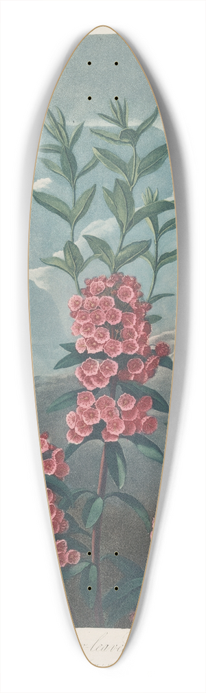 Robert John Thornton - Narrow-Leaved Kalmia 39.3 inch art pintail longboard deck