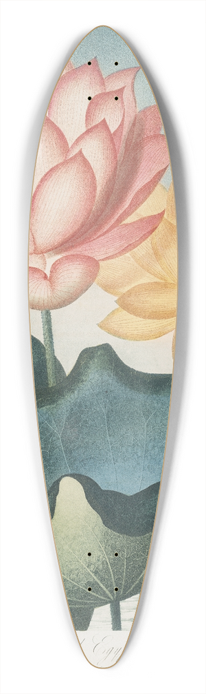 Robert John Thornton - The Sacred Egyptian Bean 39.3 inch art pintail longboard deck