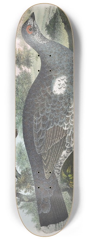 Daniel Giraud Elliot - Dusky Grouse 8.25 inch art skate deck