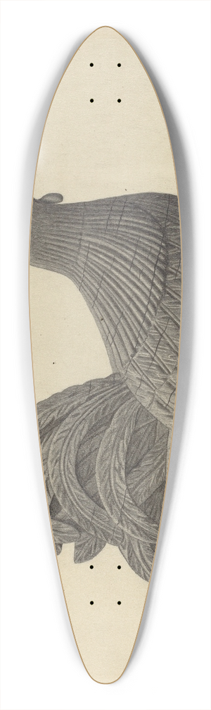 Rollington Campbell - Weather Vane  Cock 39.3 inch art pintail longboard deck