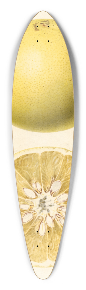 Royal Charles Steadman - Citrus paradisi 39.3 inch art pintail longboard deck