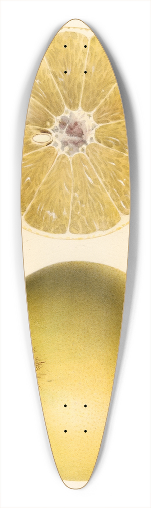 Royal Charles Steadman - Citrus paradisi: Dorthy Seedless 39.3 inch art pintail longboard deck