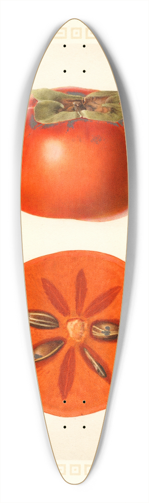 Royal Charles Steadman - Diospyros: Fuyu 39.3 inch art pintail longboard deck