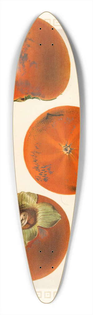 Royal Charles Steadman - Diospyros: Tane Nashi 39.3 inch art pintail longboard deck
