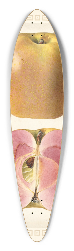 Royal Charles Steadman - Malus domestica 39.3 inch art pintail longboard deck
