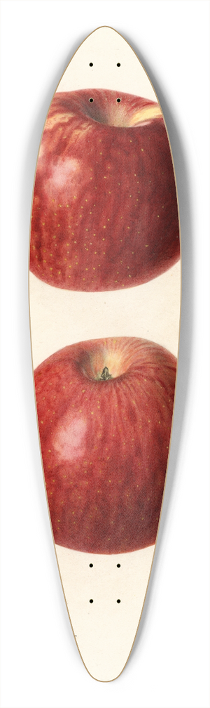 Royal Charles Steadman - Malus domestica: Missouri Pippin 39.3 inch art pintail longboard deck