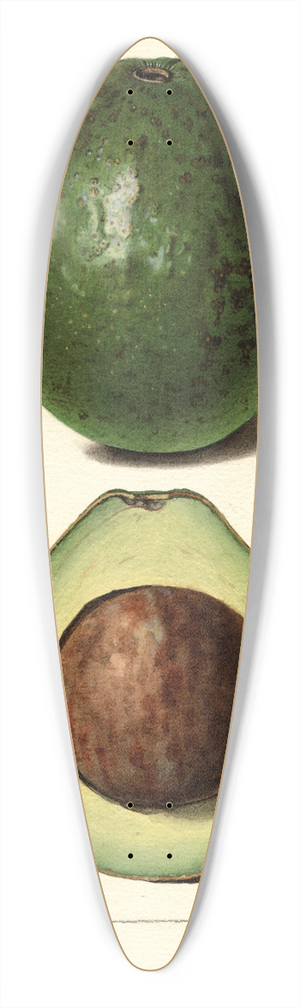 Royal Charles Steadman - Persea: Wagner 39.3 inch art pintail longboard deck