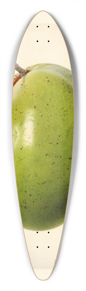 Royal Charles Steadman - Persea: Waldin 39.3 inch art pintail longboard deck