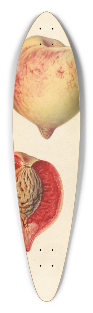 Royal Charles Steadman - Prunus persica 39.3 inch art pintail longboard deck