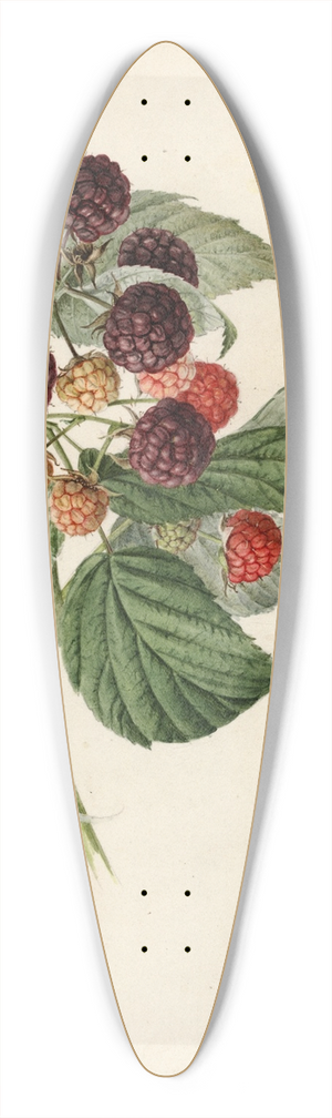 Royal Charles Steadman - Rubus: Haymaker 39.3 inch art pintail longboard deck