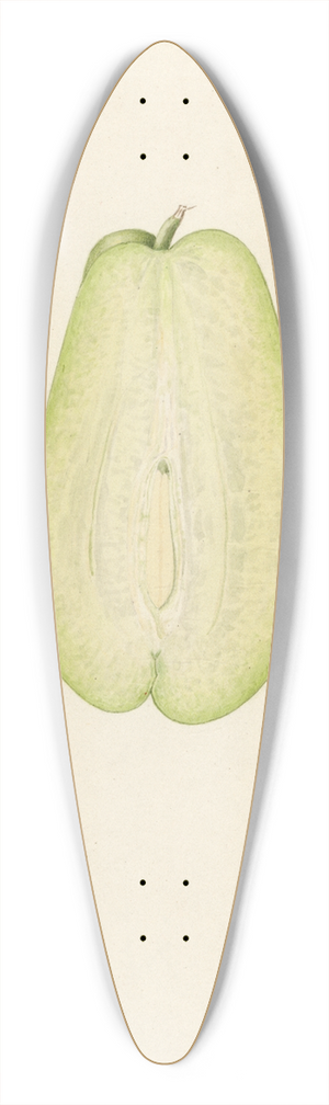 Royal Charles Steadman - Sechium edule 39.3 inch art pintail longboard deck